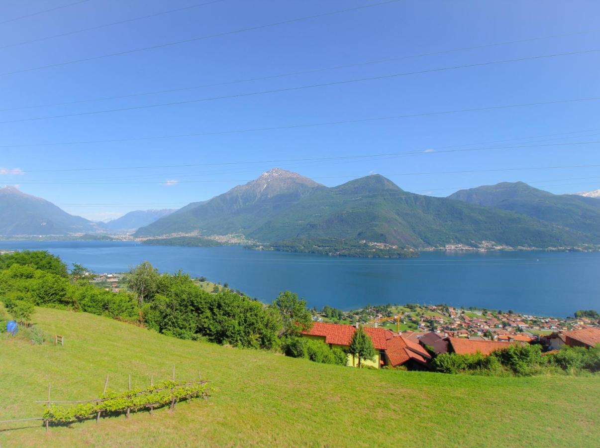 Residenza Castellum Daire Stazzona Dış mekan fotoğraf